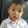 allantan688