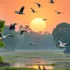 xavitruong.2