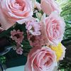 widia_27_