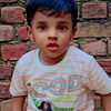 ranibb595