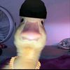 jaydwoo
