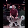 dante.ekko