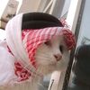 aashiq_soul
