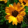 raghad_saber1
