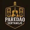 paredao sertanejo