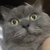 chaiko_6