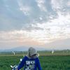 m.al._1