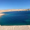 salah.eldib5