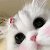airisama4