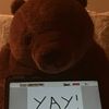 bucketthebear