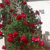 user868125837