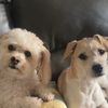 beauxandbrody