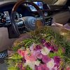 layly_2288