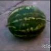 askatgalin