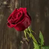 mahir197676