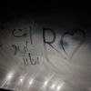 _abolla