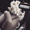 gena.ibrahem.alha