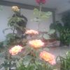 haydeematie7