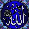 user2627226831126