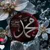 user4559219781988