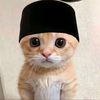 hanif_47532