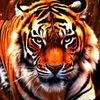 wilfredoaez6
