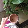 4n__kl