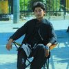 shah.made