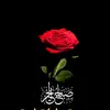 bahroz19l