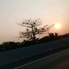 nur882837