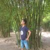 haniff_174
