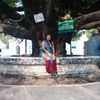 nawthawthi4