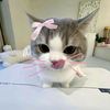 keisukapink