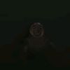 ridhostvno_