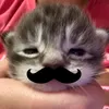 thhcutez
