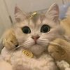 nisyaaaaaaa___