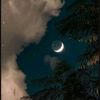 hala_2007_0