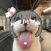 bietdanhtolacuu