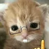 meolumxuu24