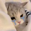 .nzkhy0