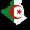 fethielhamouti146