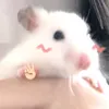 dugnhin