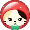 momokiti314