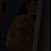 user2291112007100