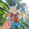 geethani61