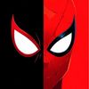 spider17295man