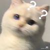 hissovbnse1