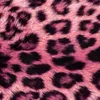aishache29