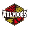 ウルフドッグス名古屋