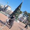 bermon02
